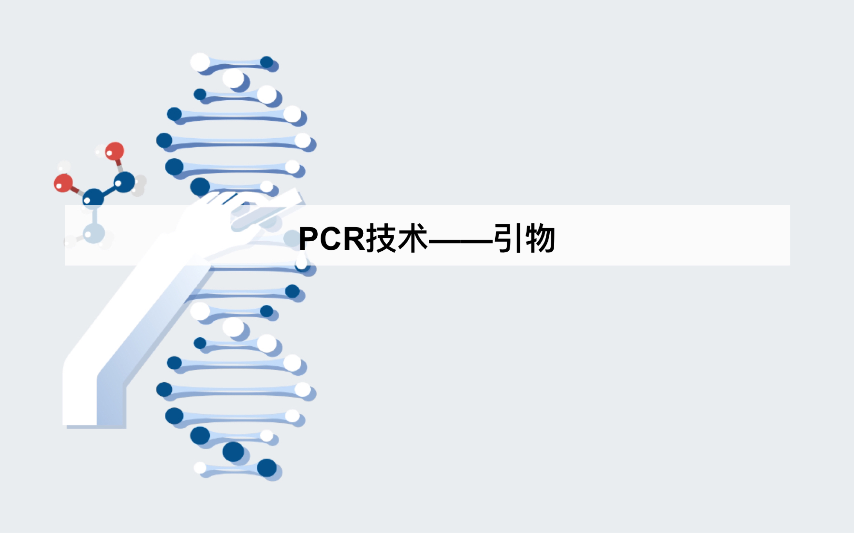 【MY高中生物】PCR中的引物相关问题|设计引物的要求|引物种类|引物数量计算|引物连接的位置哔哩哔哩bilibili