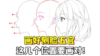 侧脸五官画不好？这些细节你注意到了么？【绘画学习|板绘教程|零基础|画法技巧入门】