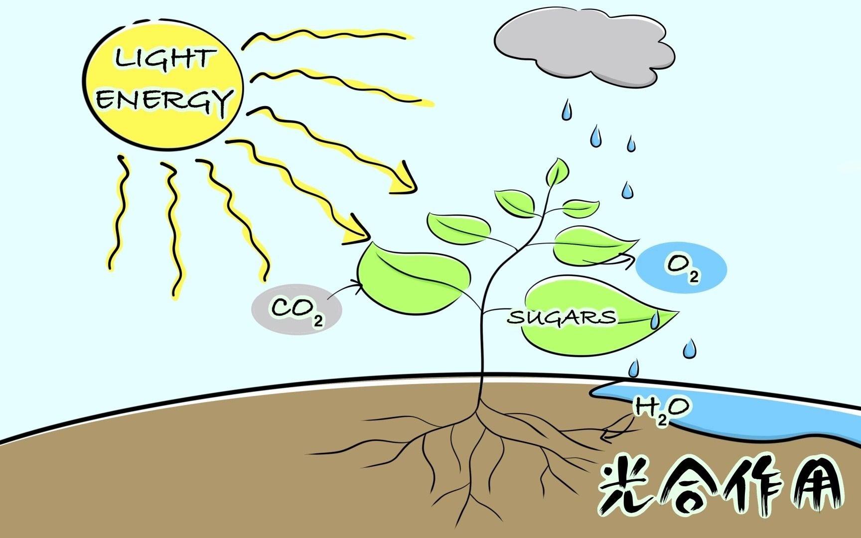 院士团队光电催化全分解水制氢效率达到4.3%!哔哩哔哩bilibili