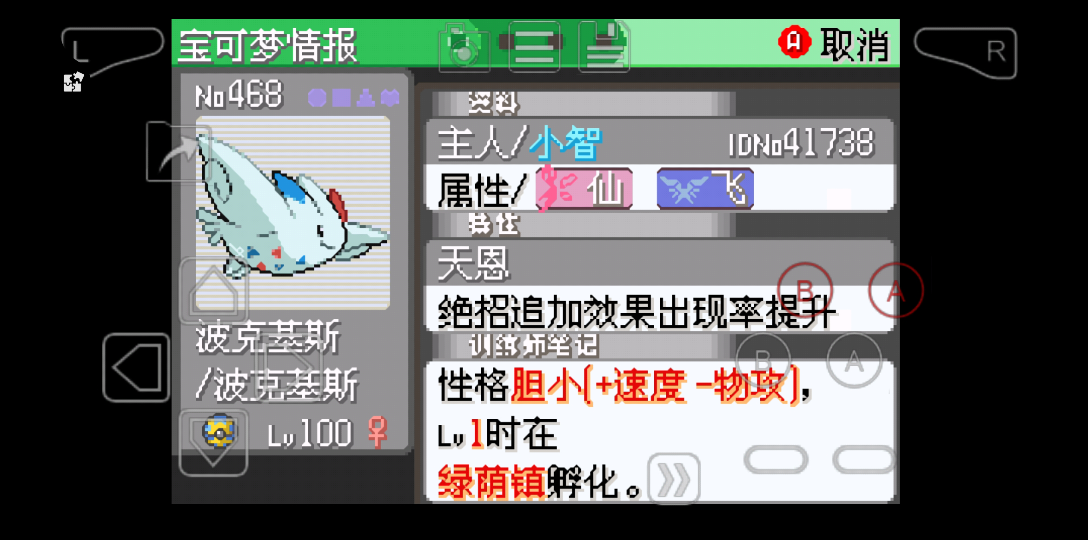 究极绿宝石小智版73,波克斯基,天恩畏缩无限连