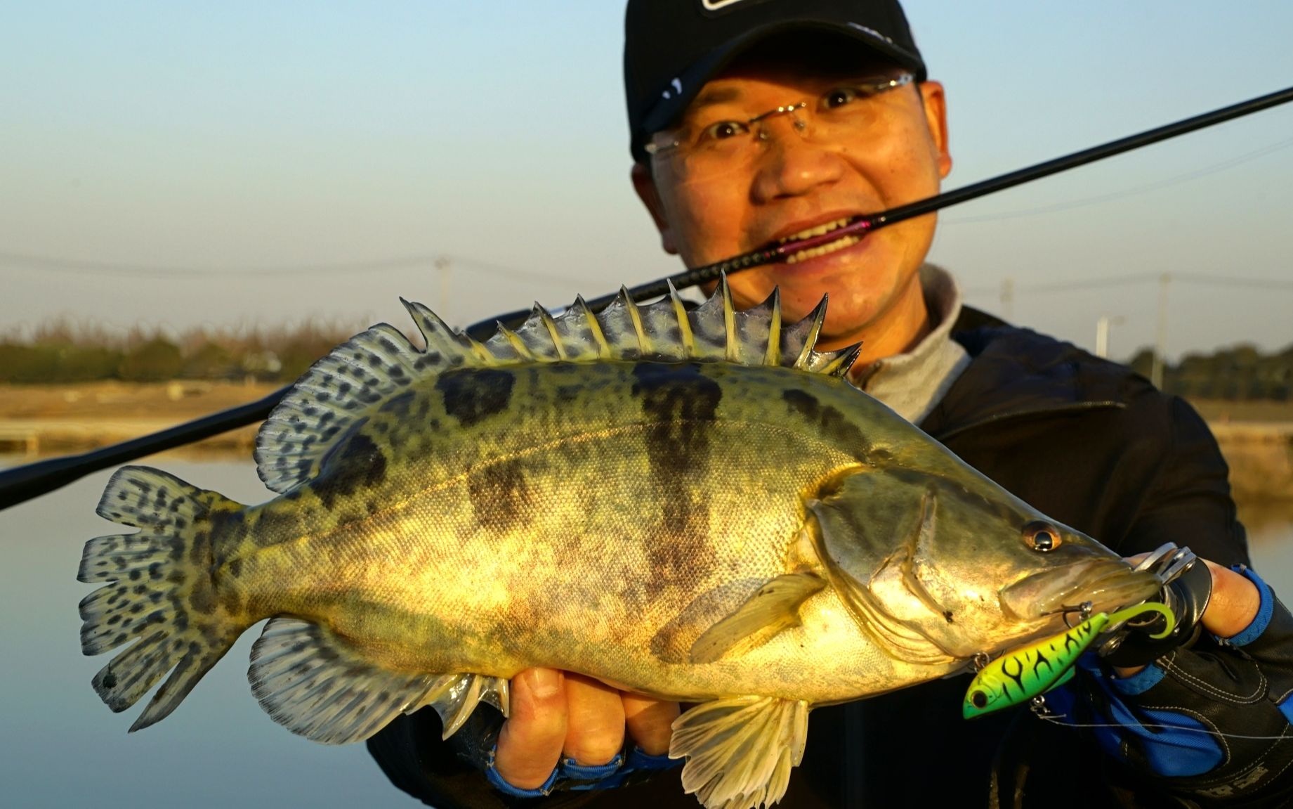 蓝旗鱼路亚 | 软尾vib玩转黑坑大鳜,玩到老板变黑脸!