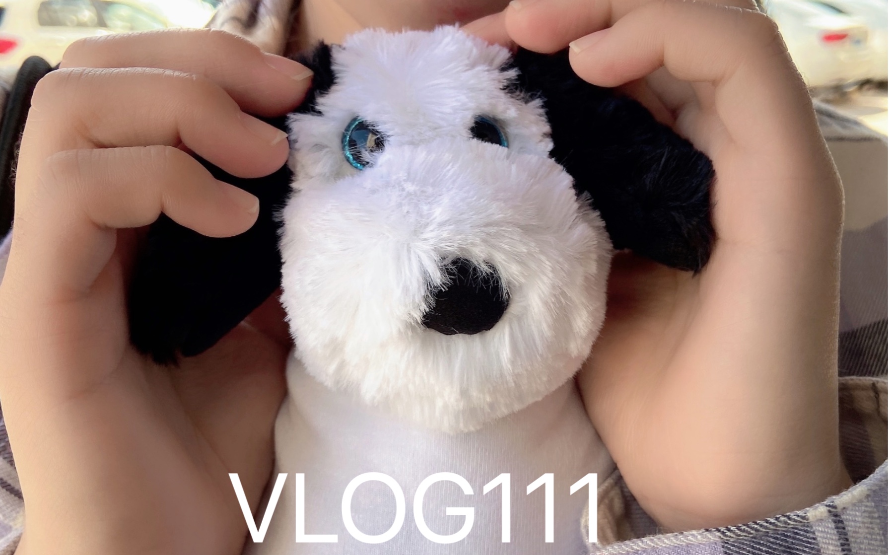 VLOG111一只小狗引发的故事哔哩哔哩bilibili