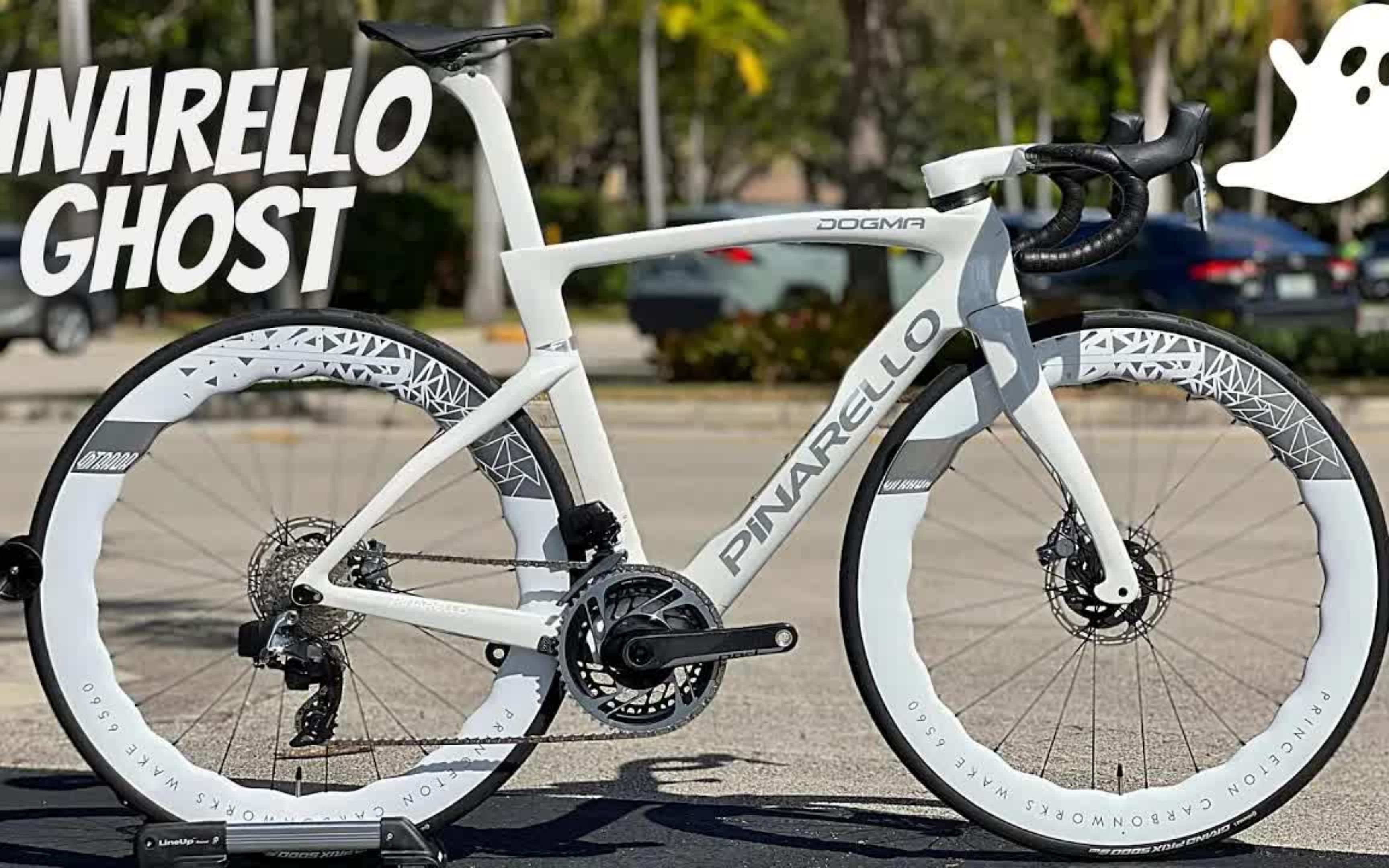 pinarello dogma f 定制涂装