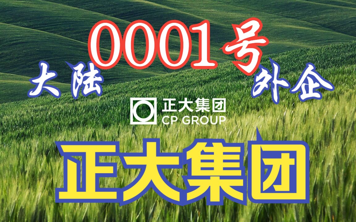 对中国投资超60亿美元!泰国华裔首富,正大集团谢国民的财富版图有多大?哔哩哔哩bilibili