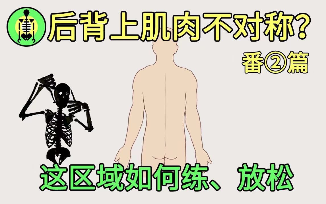 [图]脊柱两侧肌肉失衡怎么练丨身体使用指南