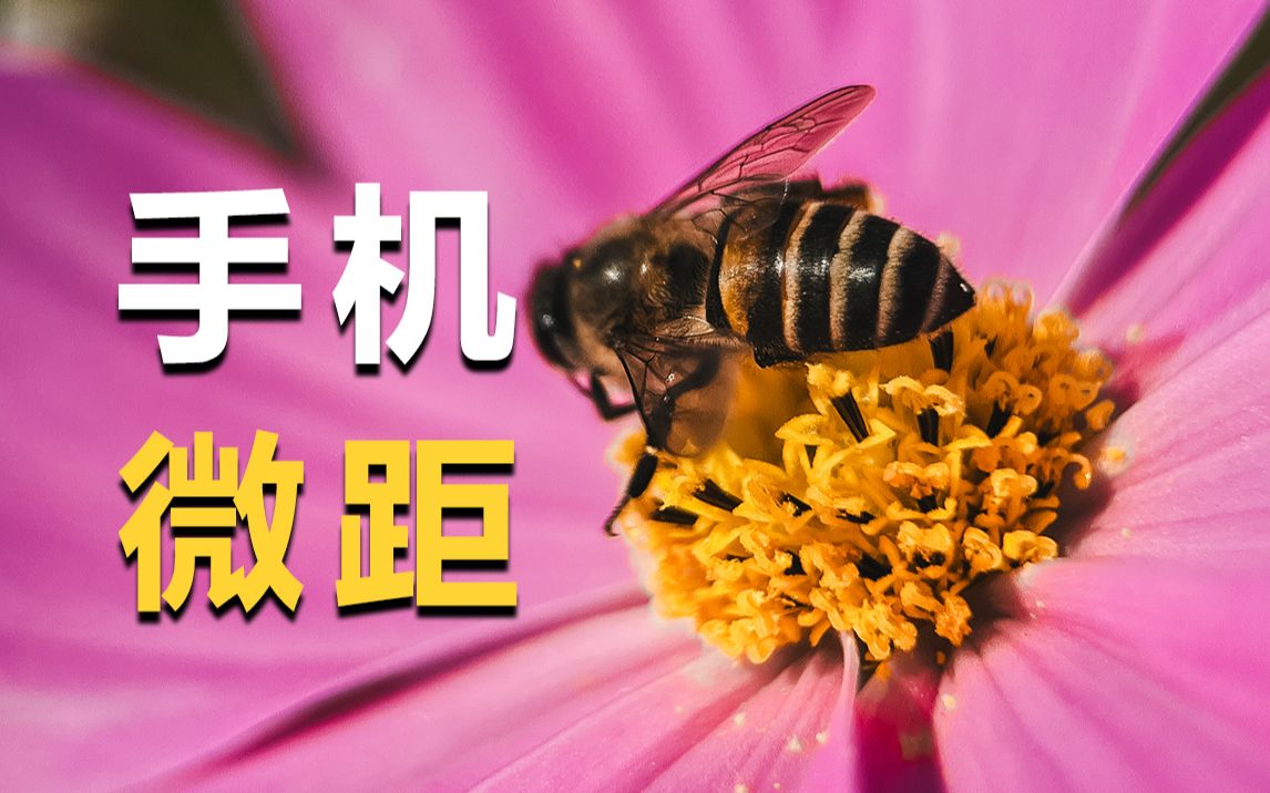 手机微距拍摄教程,带你解锁摄影新视角!
