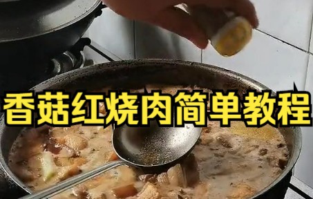 【红烧肉】香菇红烧肉,软软糯糯,大口朵颐,家庭版简单易操作哔哩哔哩bilibili