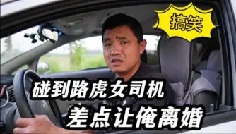 Download Video: 搞笑：碰到霸道路虎女司机逆行，差点让俺离婚！还讲理不？