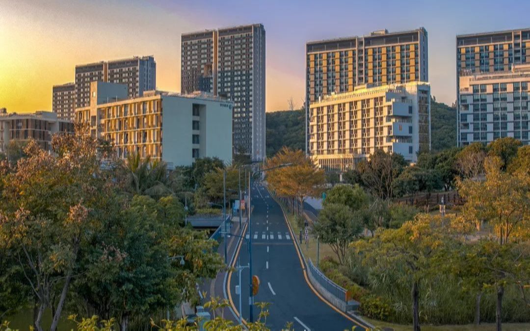 在南科大的第一个学期---2021秋