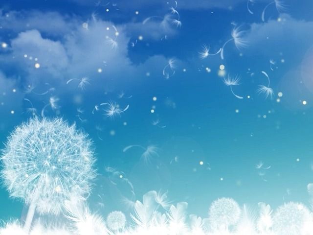 蒲公英的约定 伴奏 配乐视频舞台舞蹈表演 屏幕背景视频
