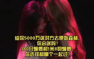 Download Video: 【TEAM G】给你5000万送对方去原始森林，你会送吗？180只蟑螂和1米8的蟑螂，你选择和哪个一起过？（20240825 team G MC2 cut)