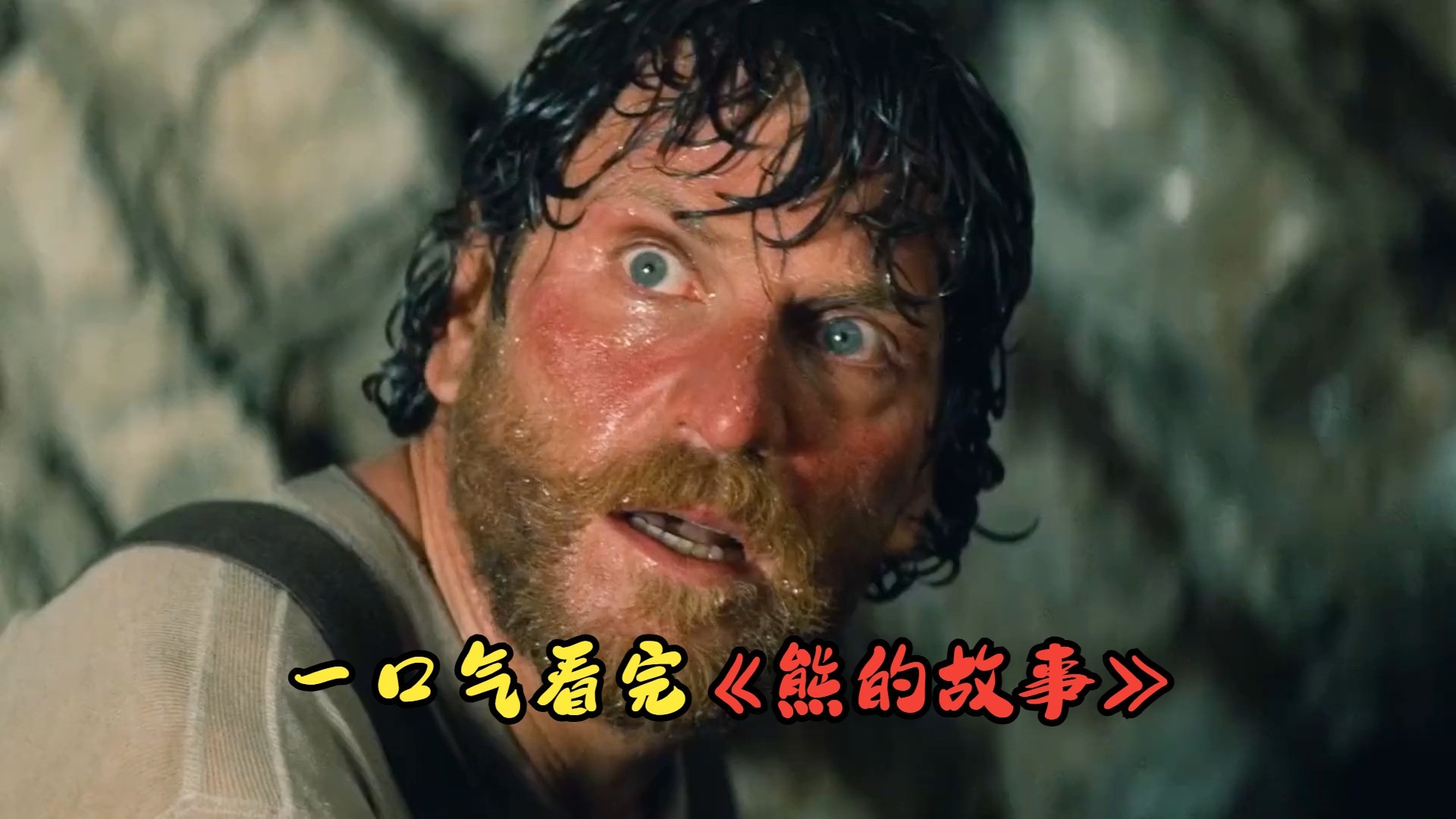 一口气看完《熊的故事》万物皆有灵!豆瓣评分9