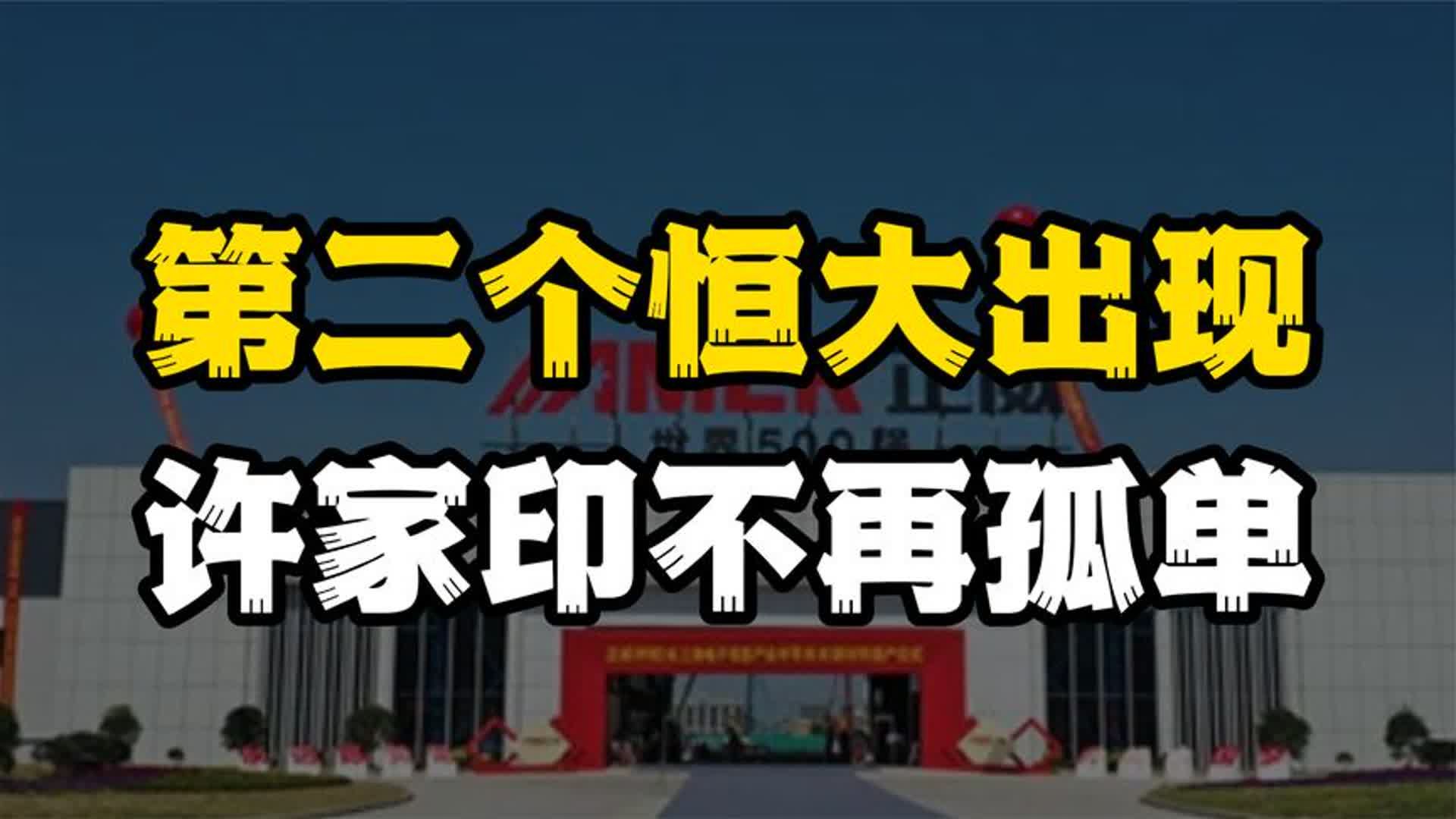 比恒大还大的雷出现,高达10万亿,这回许家印不孤单了哔哩哔哩bilibili