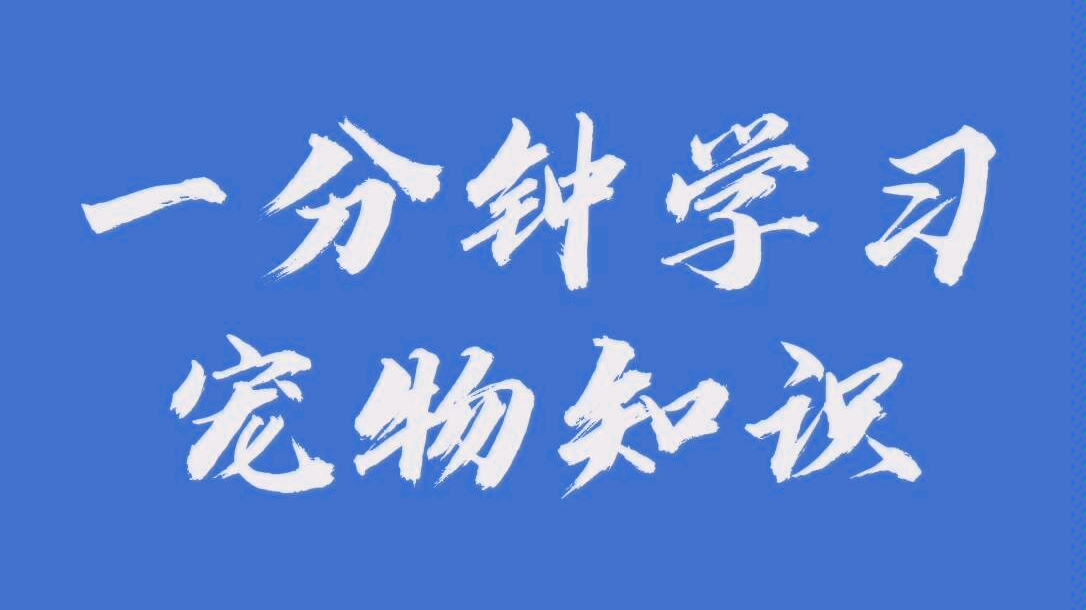 【全犬种】一分钟了解宠物消毒哔哩哔哩bilibili