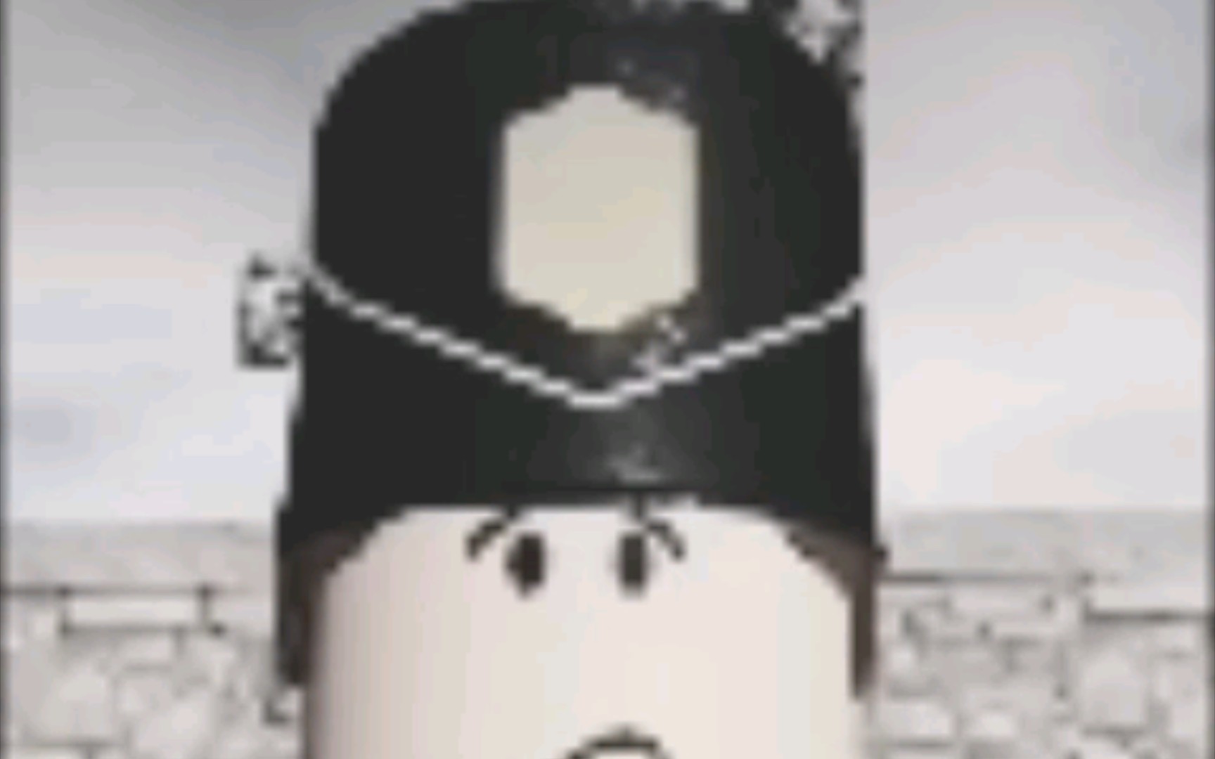 [内脏与黑火药]barry遗照,感动114514亿牢精卫