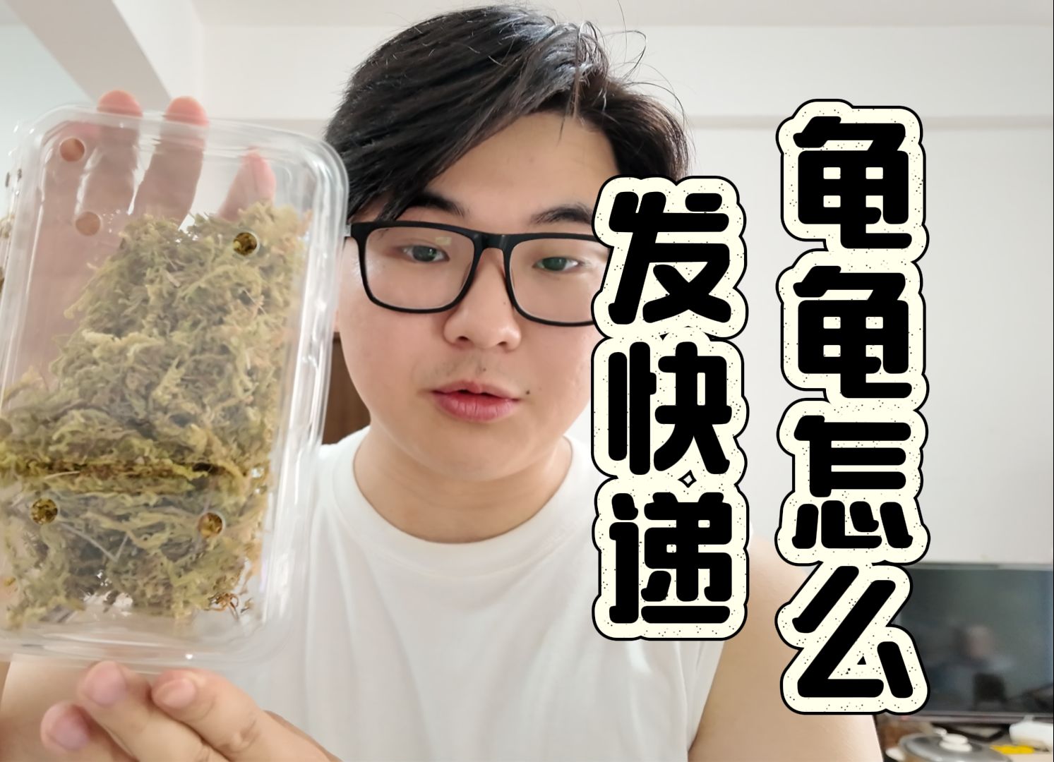 个人怎么寄龟?龟龟怎么发快递?邮寄龟龟应该怎么打包?哔哩哔哩bilibili