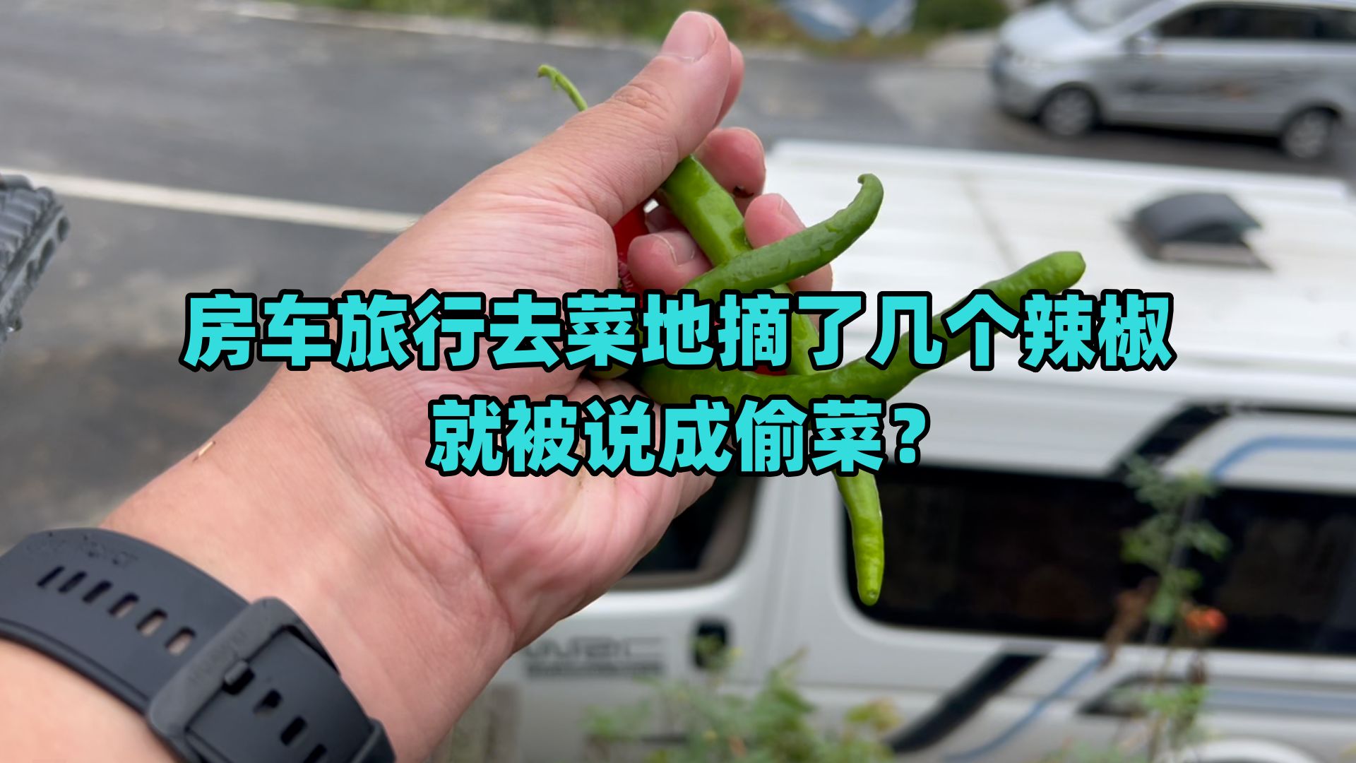 房车旅行去菜地摘了几个辣椒,就被说成偷菜?怎么都解释不清楚!哔哩哔哩bilibili