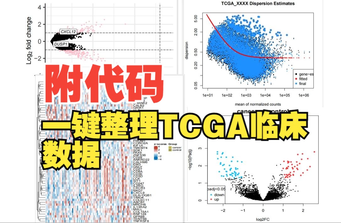 08(附代码)TCGA临床数据下载与整理,保姆级教程,带你零基础学生信,一键整理TCGA临床样本数据哔哩哔哩bilibili