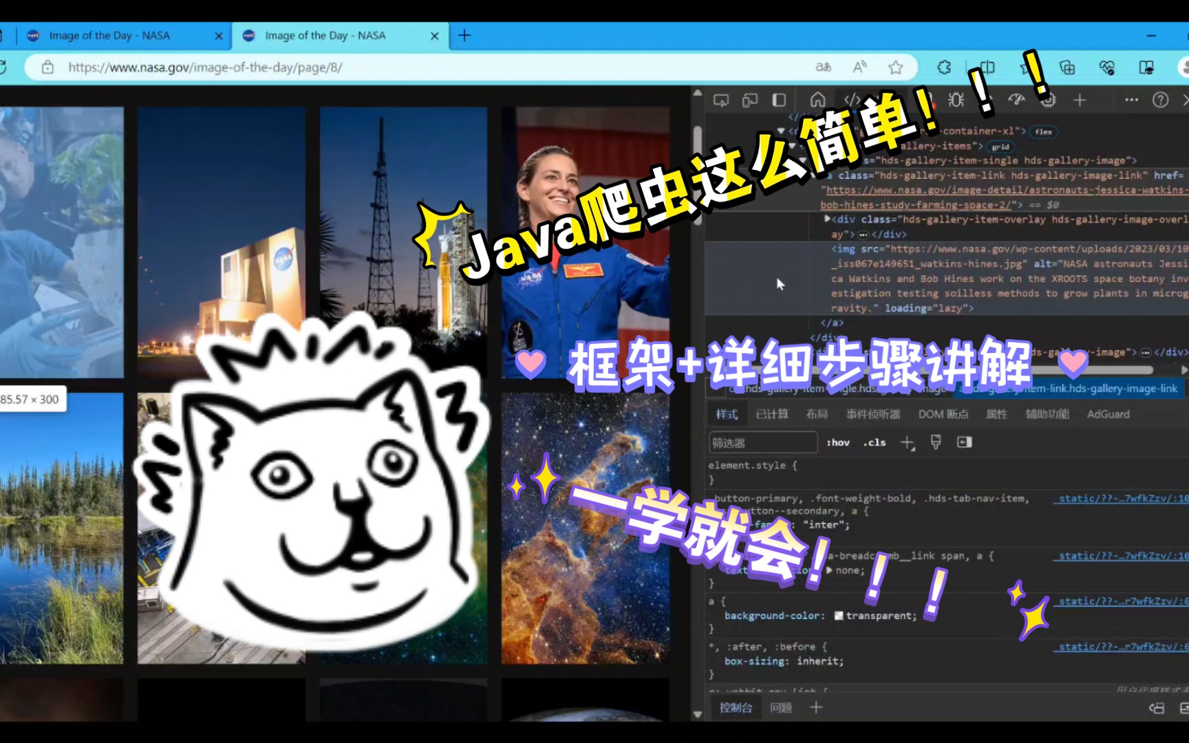 Java爬虫简易教程:用Selenium和Jsoup框架轻松抓取网页图片!哔哩哔哩bilibili