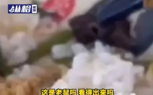 下载视频: 江西一高校食堂吃出老鼠头？校方：当事人已确认为鸭脖