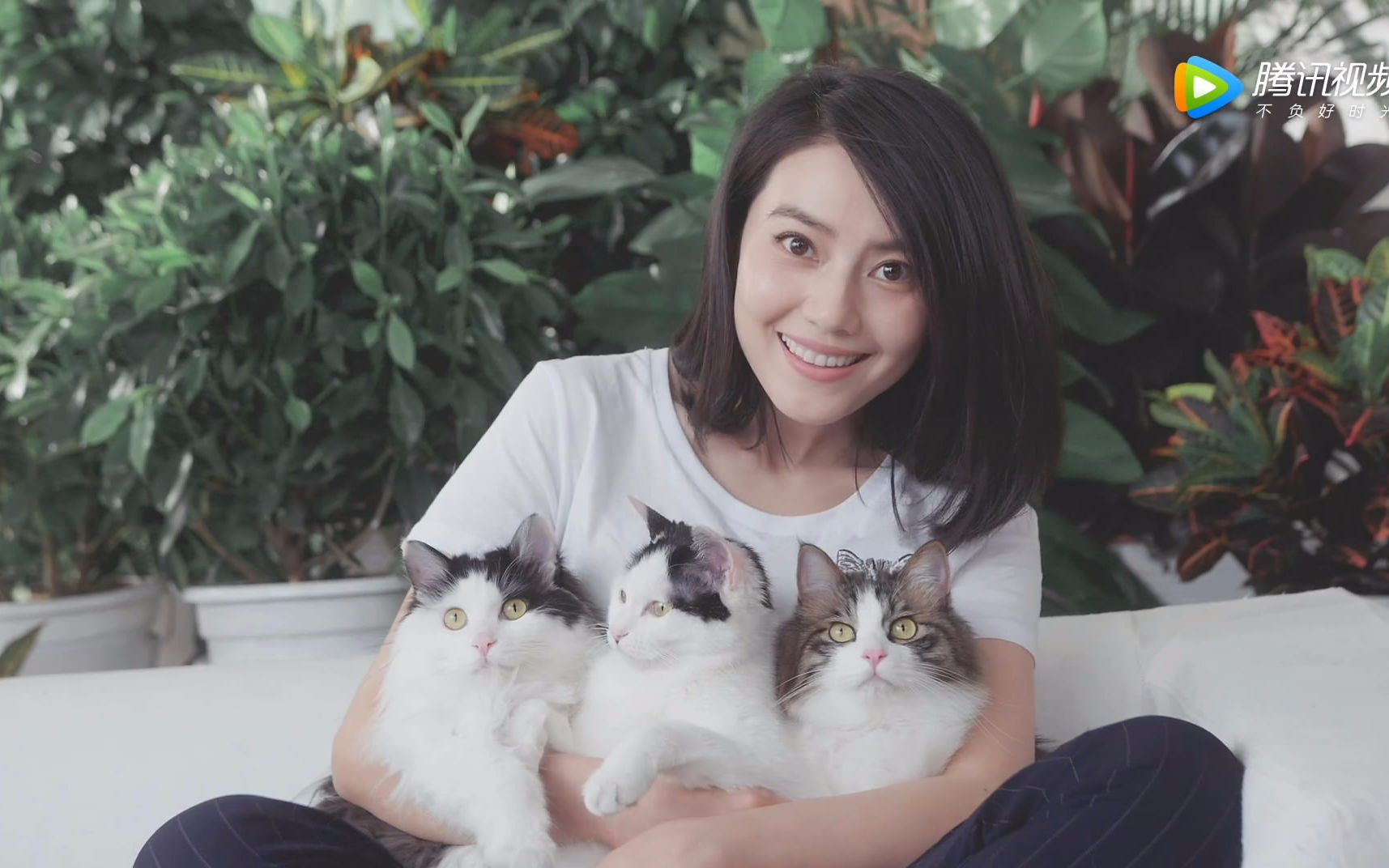 【中国广告】高圆圆 圆漾流浪猫Super Cool Cats女鞋宣传片哔哩哔哩bilibili