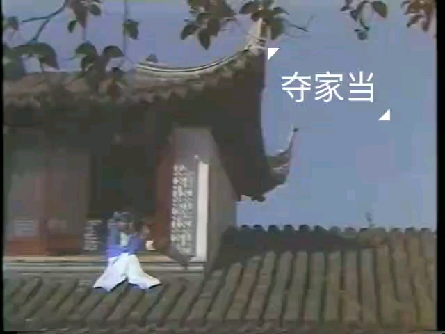 [图]锡剧-王兰英：玉蜻蜓-夺家当（外景电视剧版）