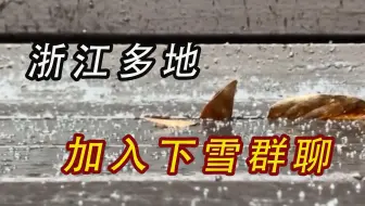 浙江省多地加入下雪群聊，冬天真的来了！
