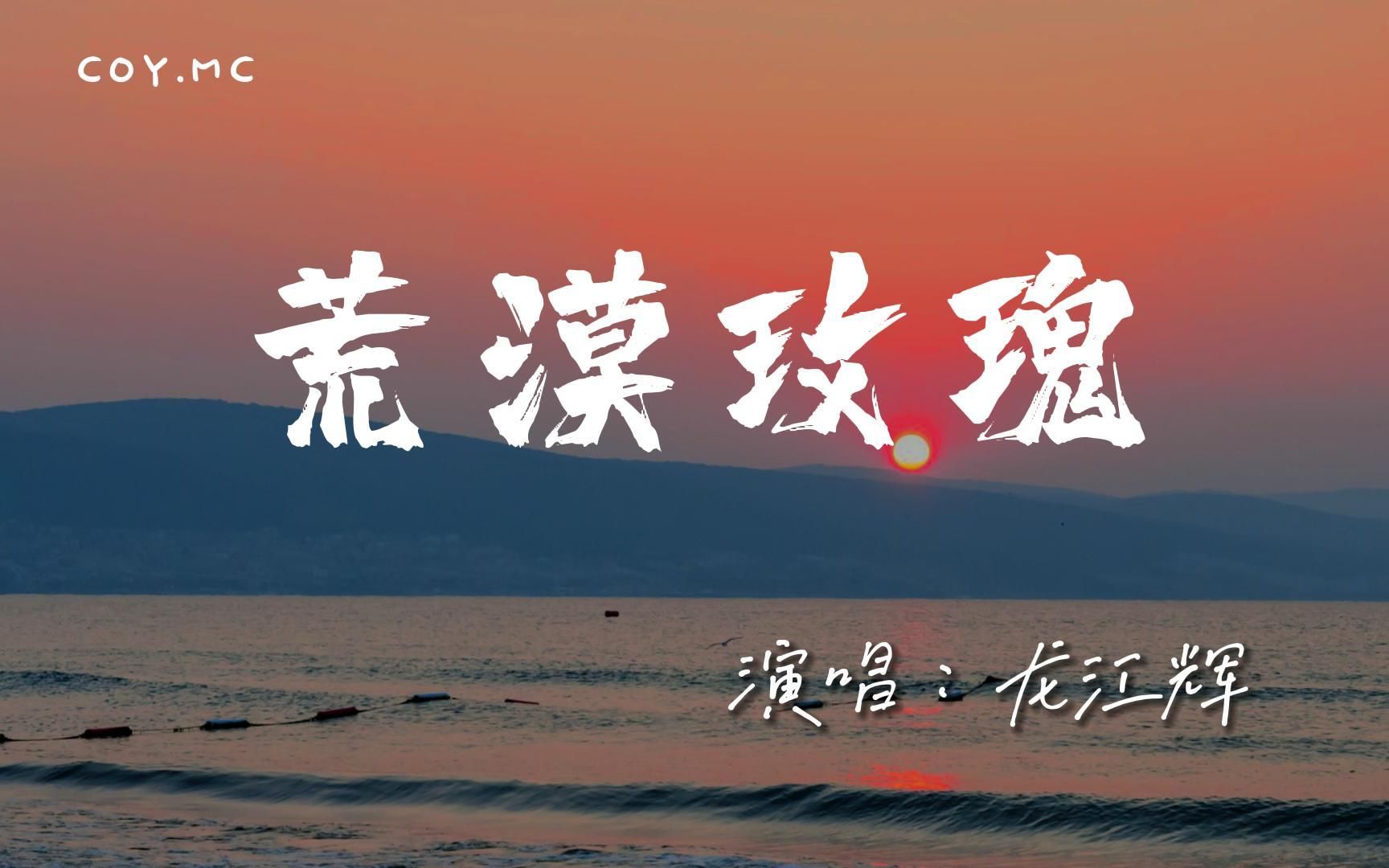 [图]龙江辉 － 荒漠玫瑰『你是荒漠开出的玫瑰』（动态歌词/Lyrics Video/4k）