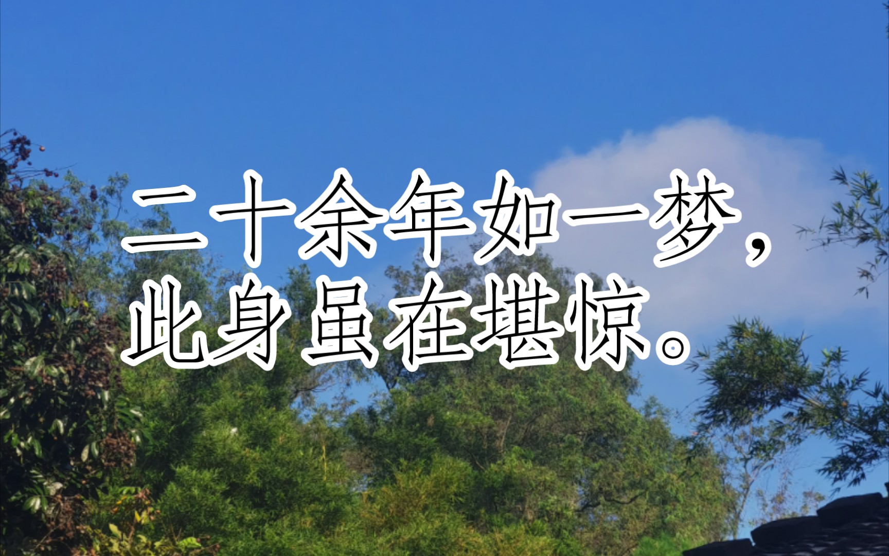 宋词三百首(临江仙ⷥ䜧™𛥰阁忆洛中旧游[宋代]陈与义)哔哩哔哩bilibili