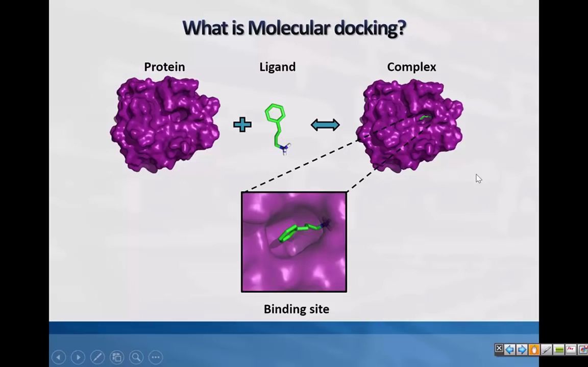 [图]How to Study Protein-Ligand Interaction through Molecular Docking