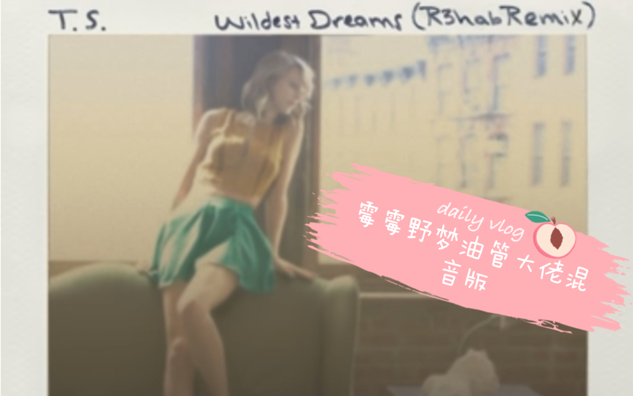 [图]霉霉Taylor Swift—wildest dreams remix 野梦混音版