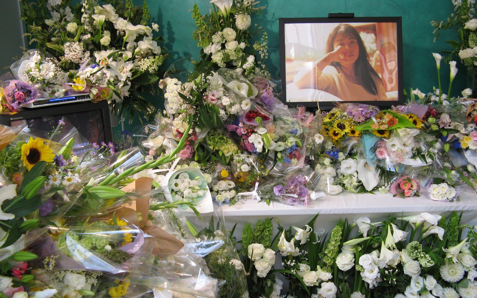 zard坂井泉水 お墓まいり