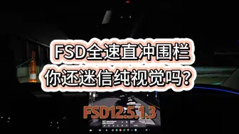 Descargar video: FSD全速直冲铁链围栏，你还迷信纯视觉吗？FSDv12.5.1.3