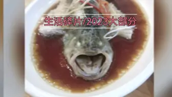 生活记录平淡