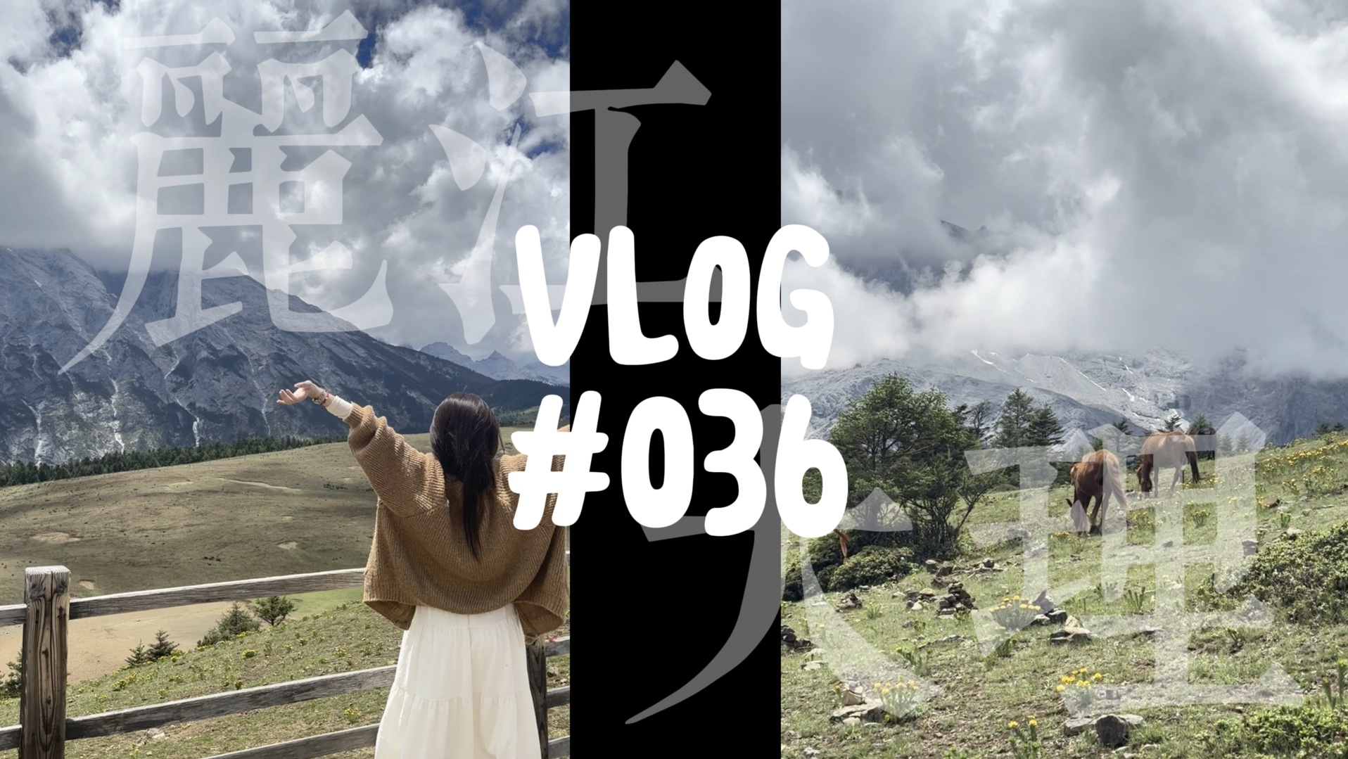 Vlog#036 云南丽江/玉龙雪山/牦牛坪/蓝月谷/丽江古城/束河古镇/大理/双廊古镇/洱海哔哩哔哩bilibili