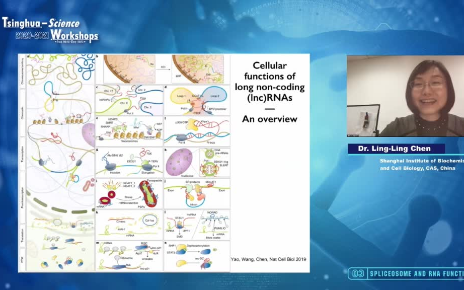 20210302中国科学院陈玲玲 Processing , conformation and function of circular and long..哔哩哔哩bilibili