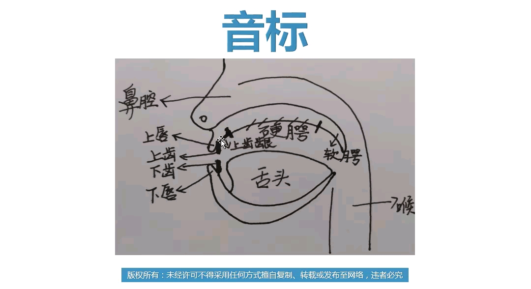 英语音标教学 专业语音学哔哩哔哩bilibili