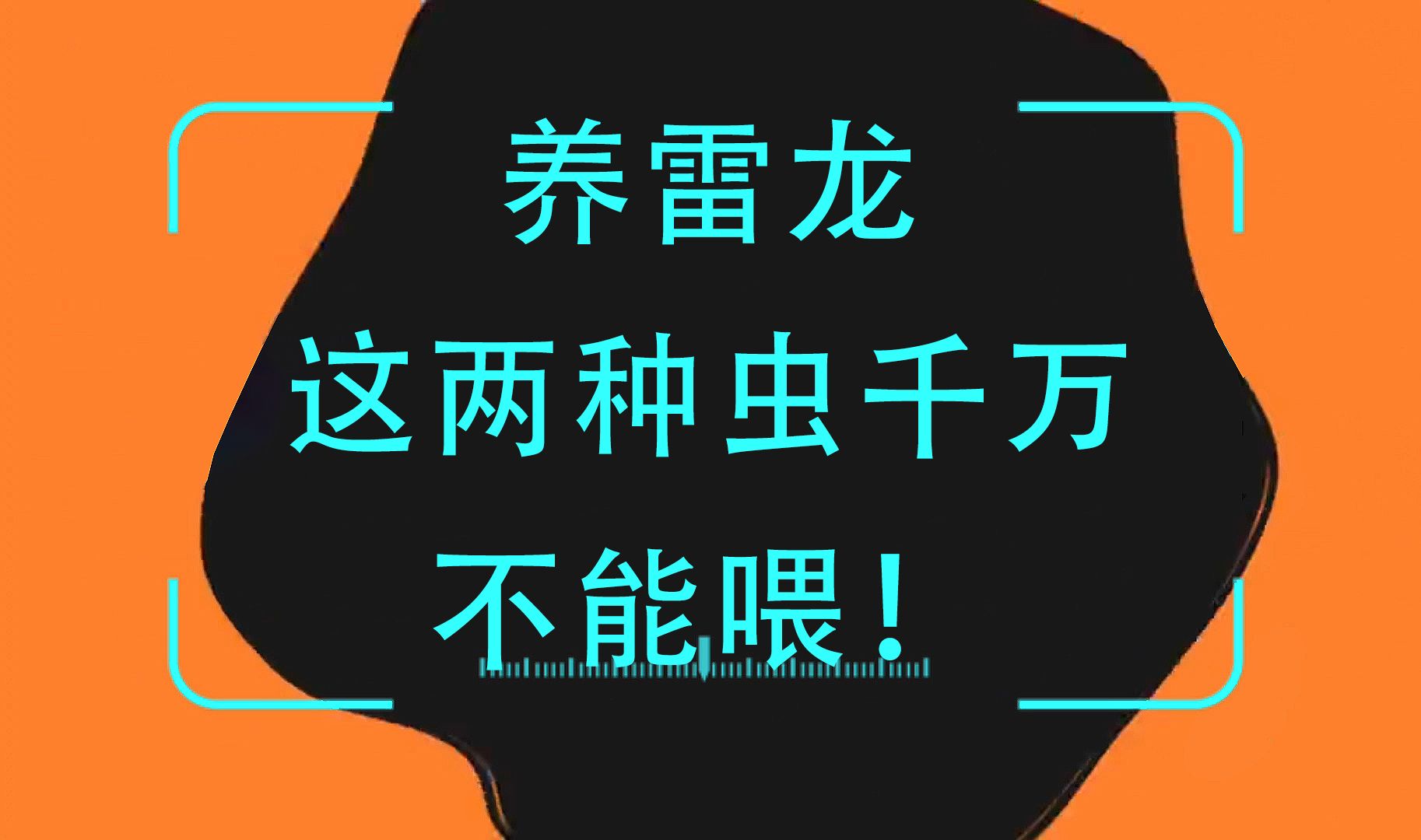 雷龙鱼都能吃什么?养雷龙,这两种虫千万不能喂!雷龙可以喂黄粉虫吗?哔哩哔哩bilibili