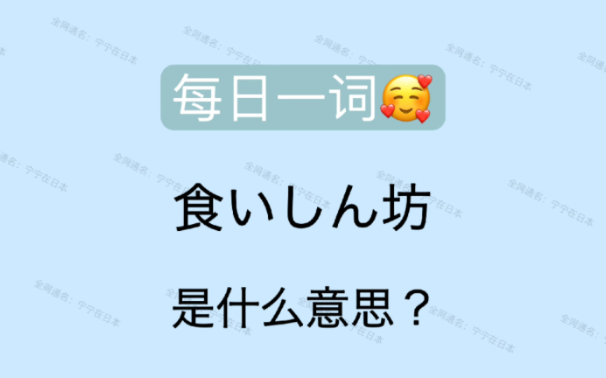 【日语】 每日一词 食いしん坊 是什么意思? 也是一个口语常用词哔哩哔哩bilibili