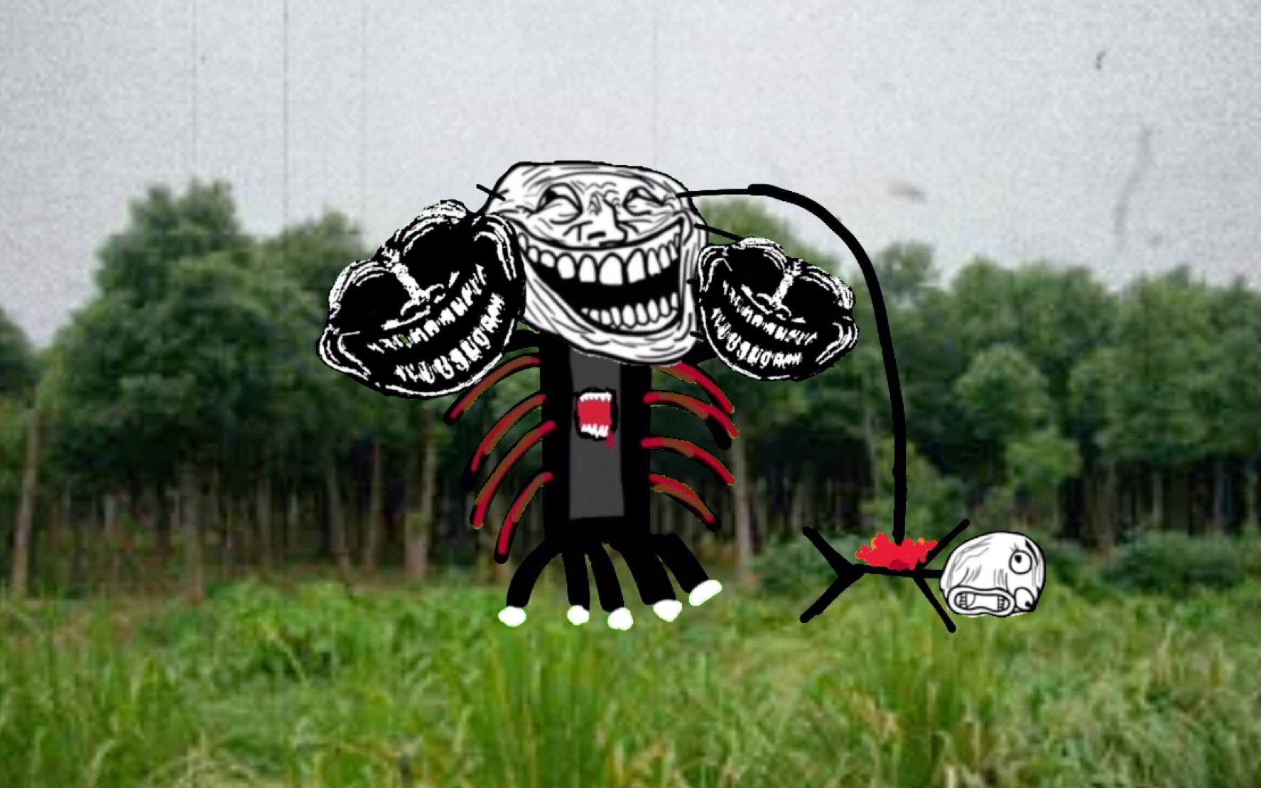 【trollge】2001年6月8日 "异变蘑菇"事件