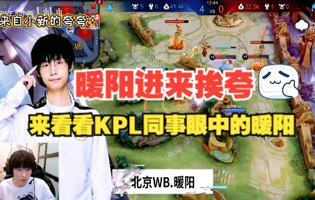 【北京WB暖阳】暖阳进来挨夸,来看看KPL同事眼中的暖阳王者荣耀