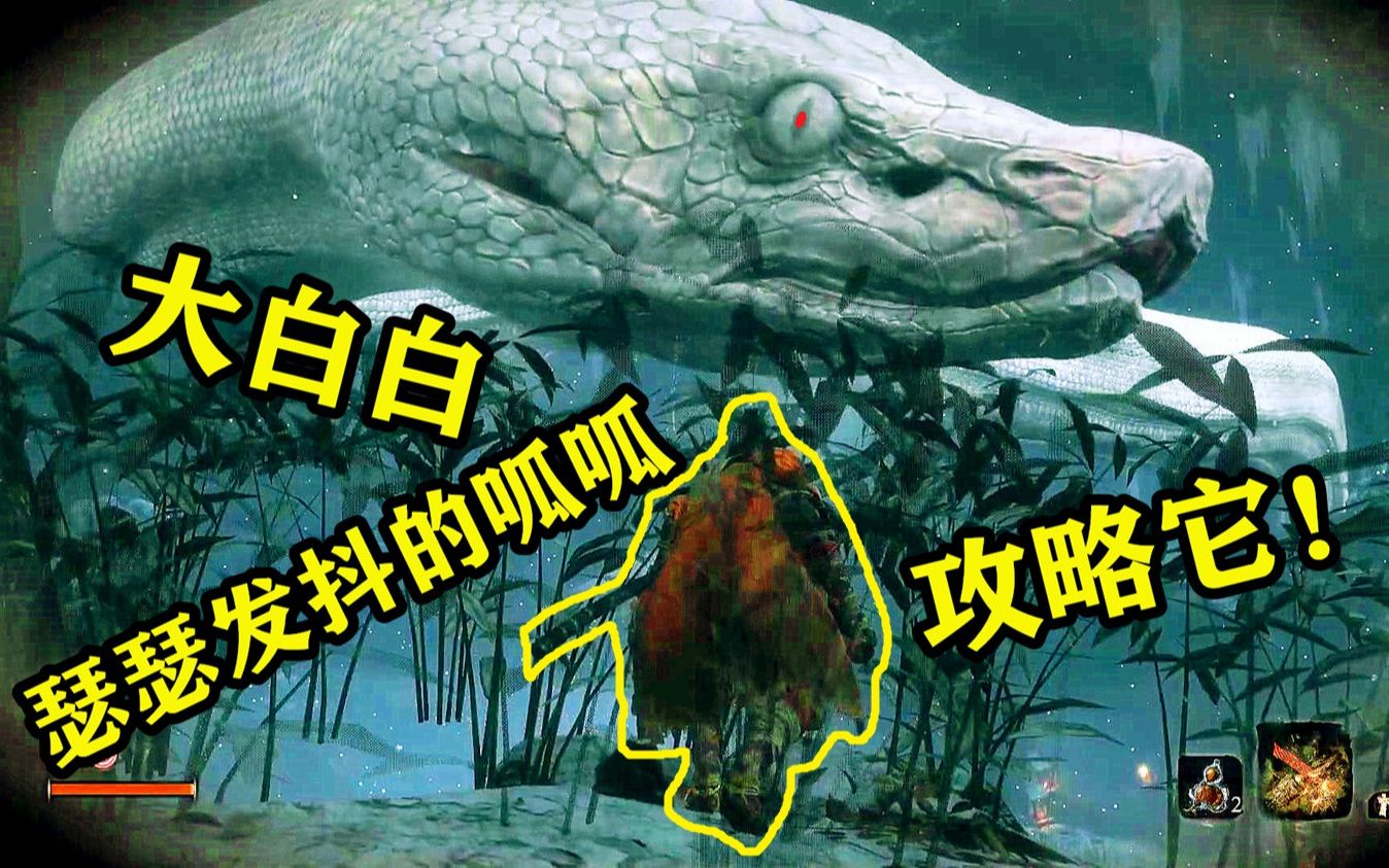 只狼4白蛇白素贞偶遇呱呱菌勇敢就有故事呱呱超勇的