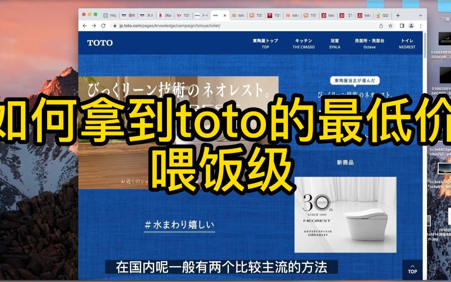 如何拿到toto最低价哔哩哔哩bilibili