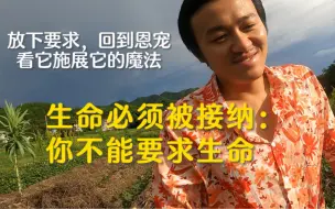 Скачать видео: 生命必须被接纳：你不能要求生命（放下要求，回到恩宠，看它施展它的魔法）