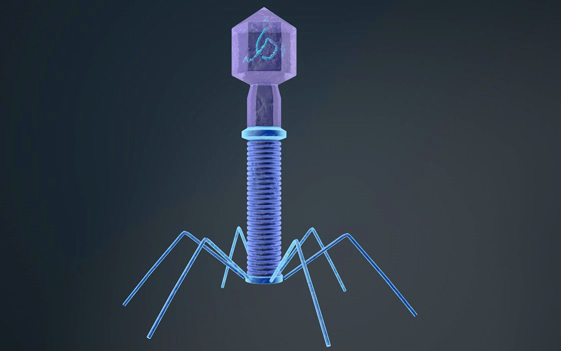 图羽c4d科研绘图教程6——噬菌体