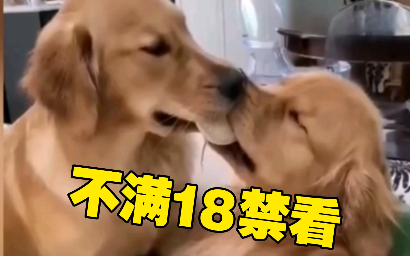 不满18岁禁止观看,一旦学会,法力无边.哔哩哔哩bilibili