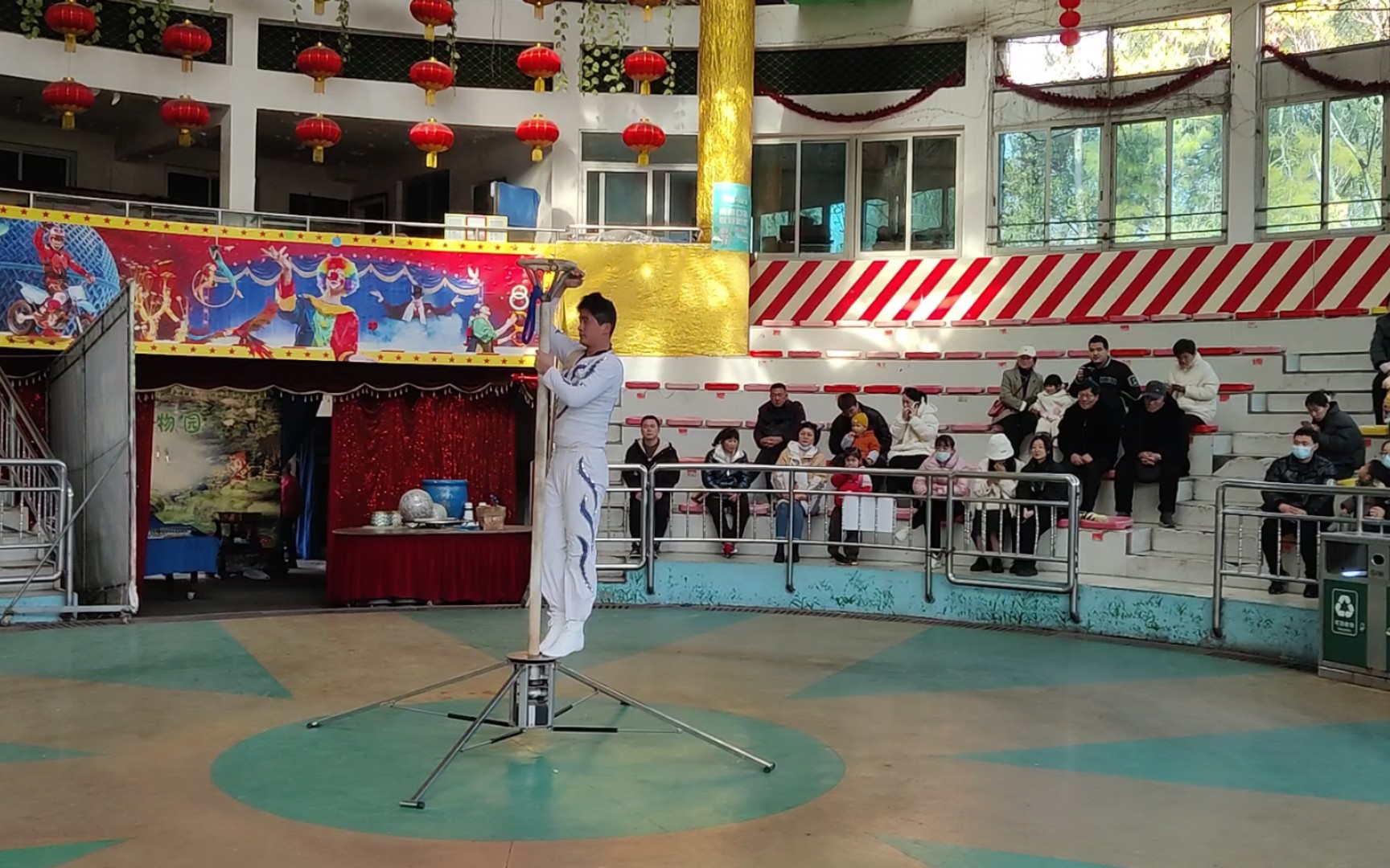 杭州动物园杂技019969♀15太空漫步