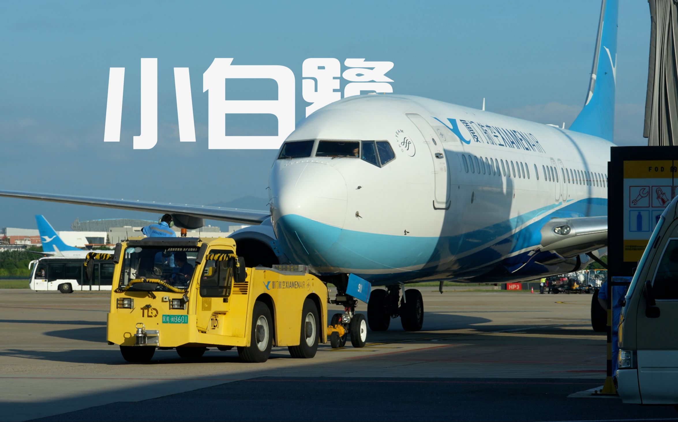 厦门航空小白鹭专场