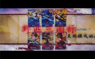 Tải video: 野匹三国标，制裁摆烂哥