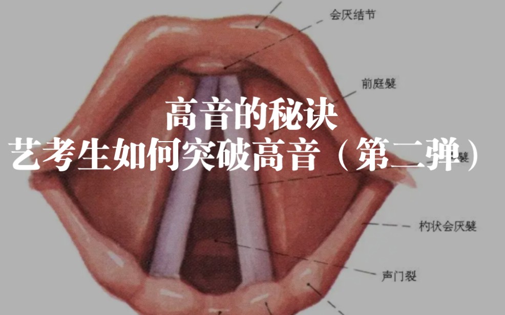 [图]艺考生高音秘诀之拉长声带（第二弹）